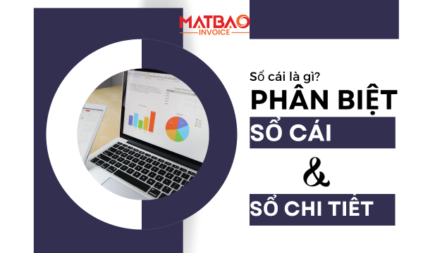 Sổ cái là gì? Phân biệt giữa sổ cái và sổ chi tiết trong quản lý tài chính