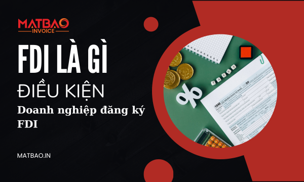 FDI là gì và điều kiện để doanh nghiệp đăng ký FDI